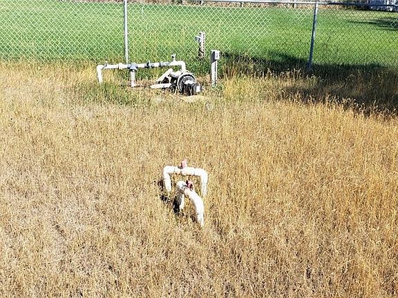 3rd image of 921 Wicks Ln