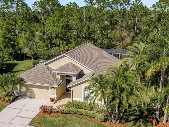 14709 Coral Berry Dr, Tampa, FL 33626