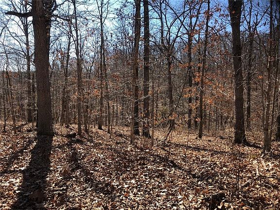 3rd image of Whalley Ln #6