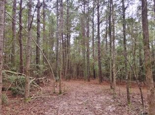 0 Dinan Church Rd, Tylertown, MS 39667