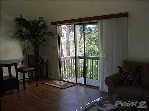 4th image of 300 Pine Run Dr