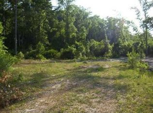 498 Old Bubbly Rd, Pierson, FL 32180