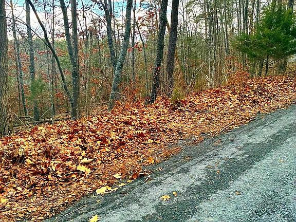 3rd image of Spitz Ln