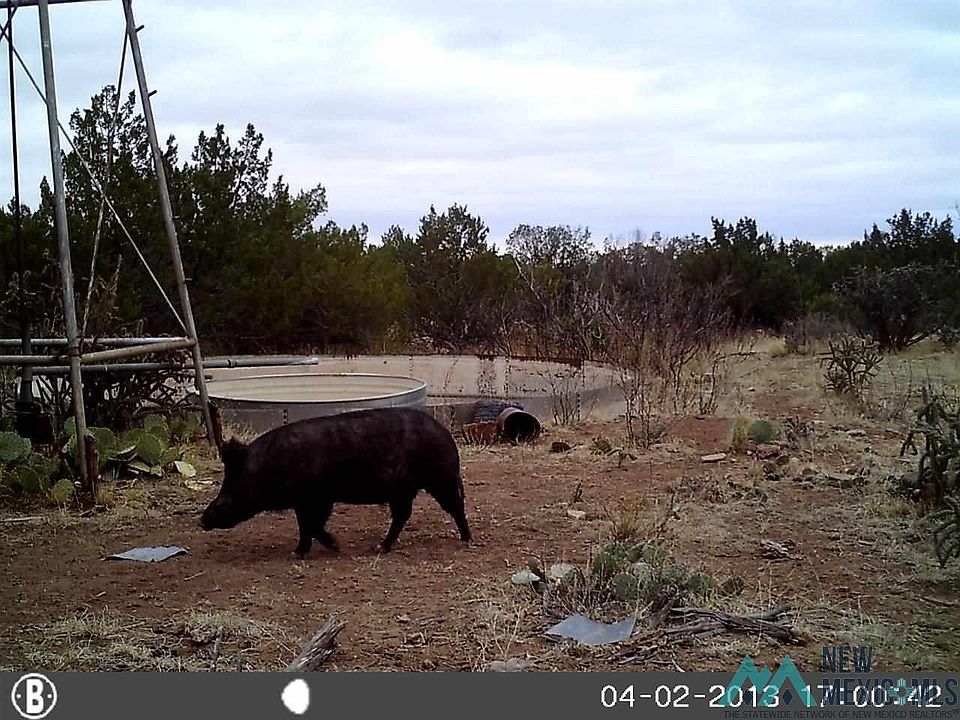 1st image of Near Trementina