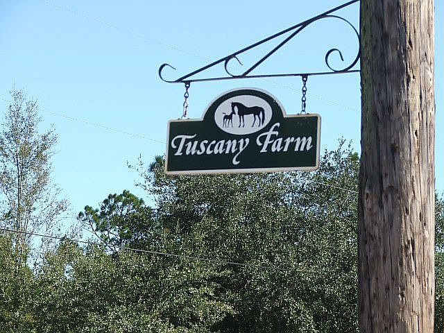 Welcome to Tuscany Farm