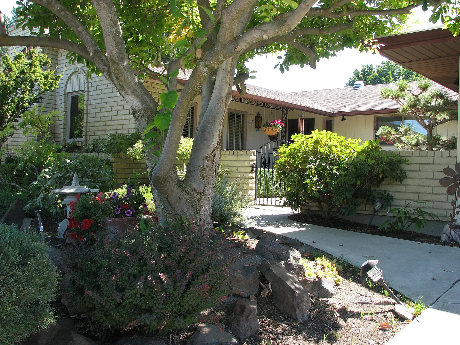 113 Jackson Ct photo 1