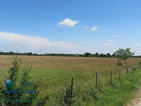 4th image of 5341 County Road 233