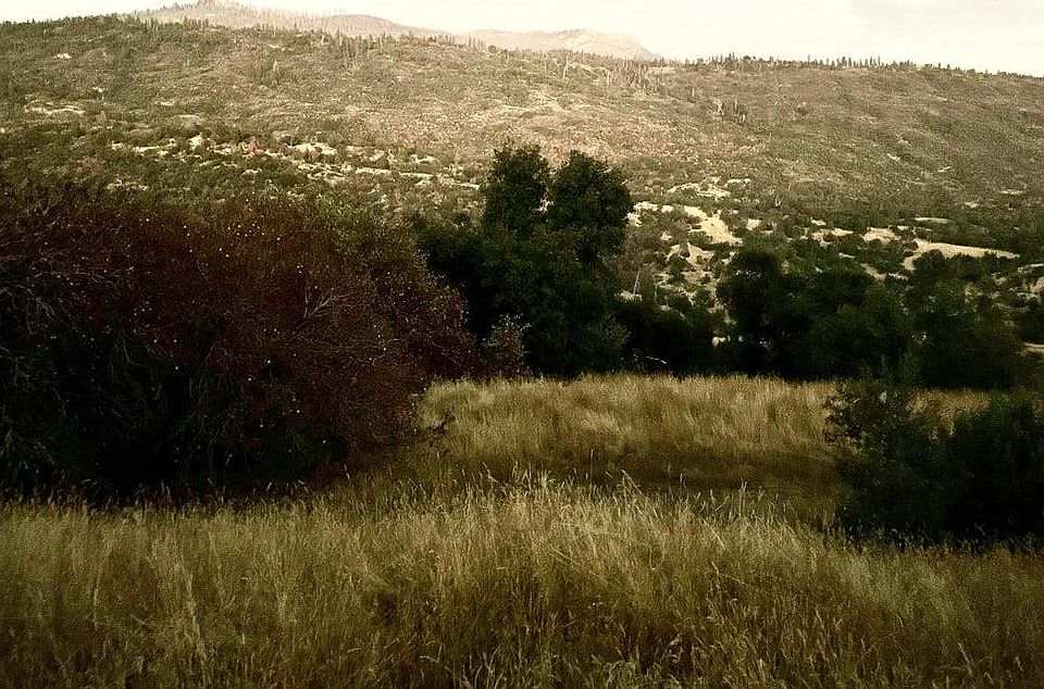 2nd image of 369 Hogback Rd