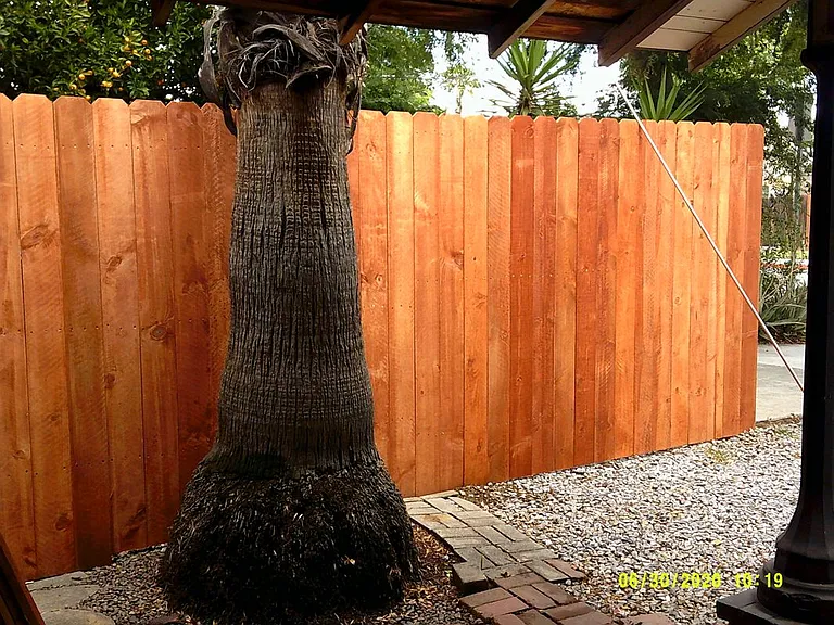 5469 Palm Ave — Photo 14
