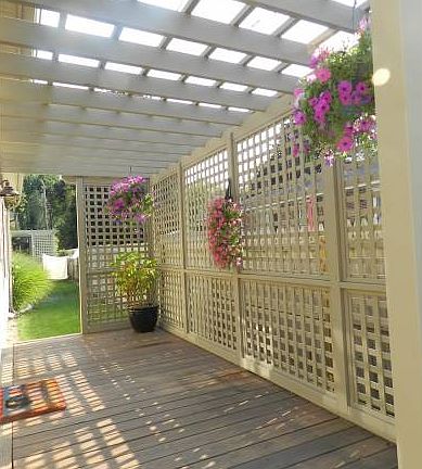 Back Deck