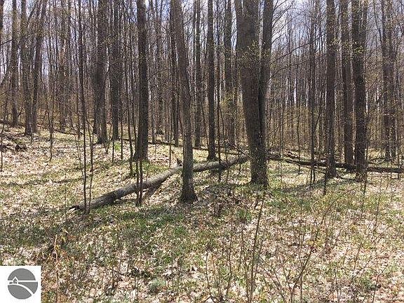 3rd image of Maplewood Dr