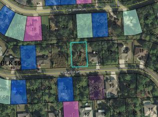 35 Pineapple Dr, Palm Coast, FL 32164