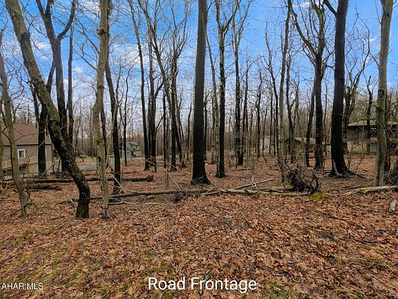 2nd image of 140 Overland Pass Rd