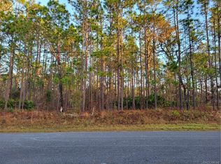 2369 W Elmore Loop, Citrus Springs, FL 34434