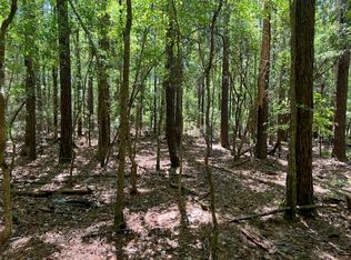 6 Ac Hwy #55, Florala, AL 36442