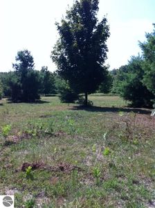 00 Bender Trail, Traverse City, MI, 49684