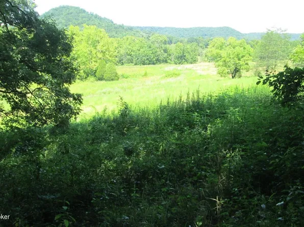 575 Martin Mill Branch Rd, Hillsboro, KY 41049