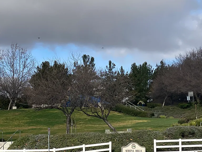 40501 Wgasa Pl — Photo 28