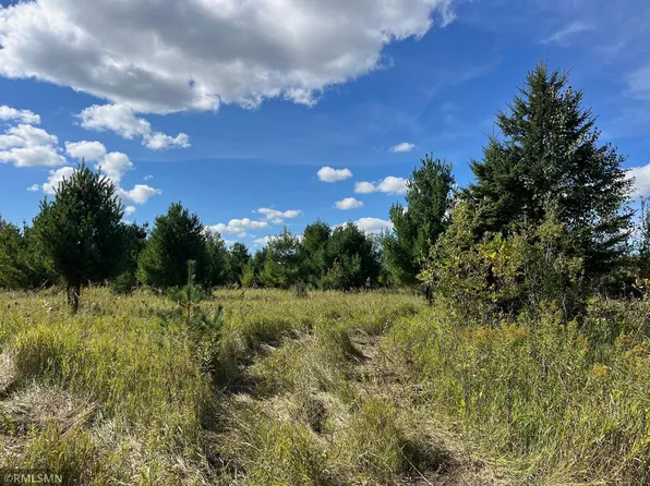 190052701 480th St, Palisade, MN 56469