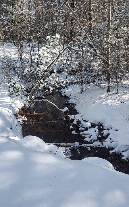 31st image of this home