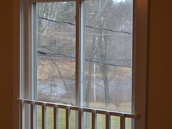 View out living room window