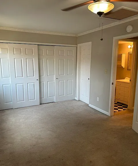 446 Down Hill Dr — Photo 9