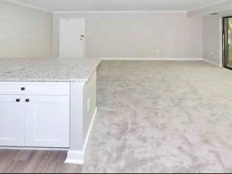 7376 Lee Hwy #101 — Photo 3
