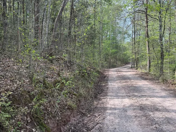 Citico Rd, Vonore, TN 37885