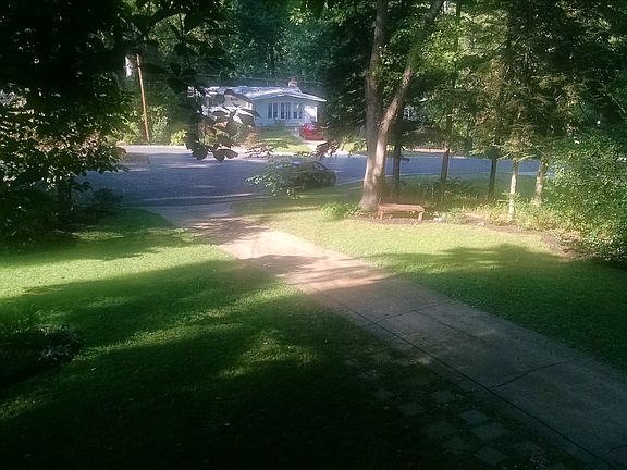 Garden view from living room