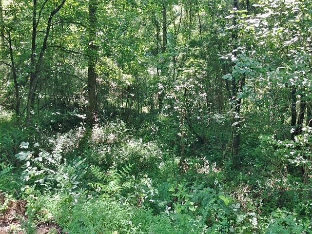 1st image of 400 Webb Dr Lot 94