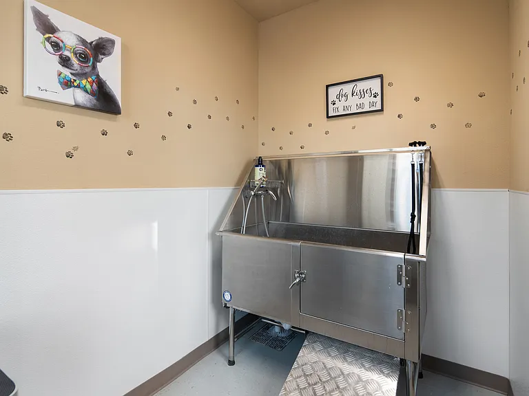 Affinity at Copperleaf 62+ — Photo 18