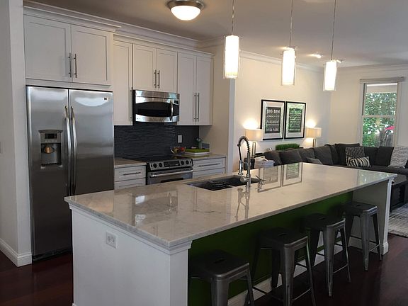 Entertainer's kitchen