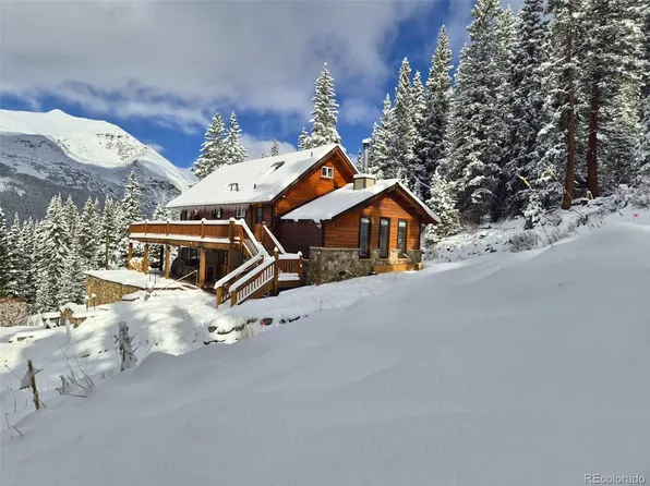 232 Goldfinch Place, Alma, CO 80420