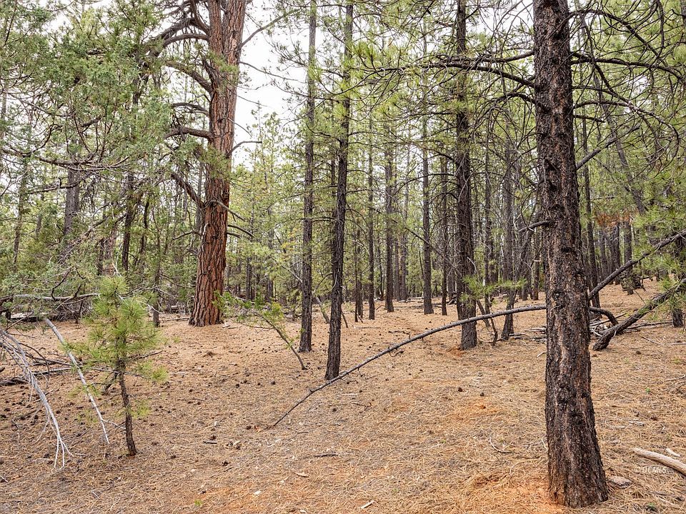 1st image of 3220 E Piute Dr