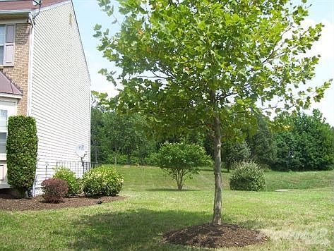 thornknoll and ali house, oc 011