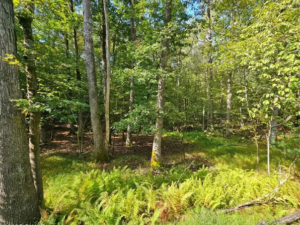 Blue Eddy Rd, Hawley, PA 18428