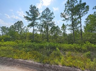 0 Picketts Mill Trl, Waynesville, GA 31566
