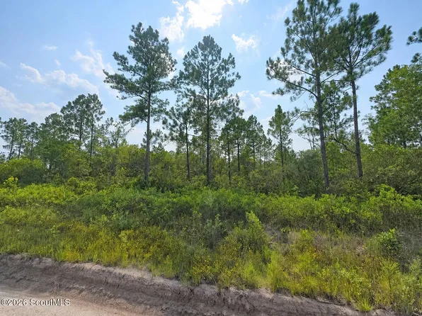 0 Picketts Mill Trl, Waynesville, GA 31566