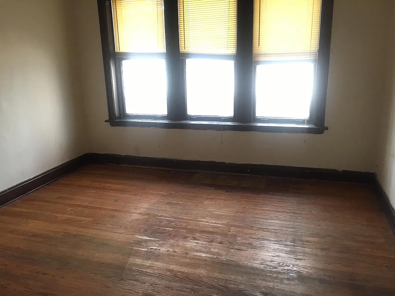 1 bed, $1,200 — Photo 3
