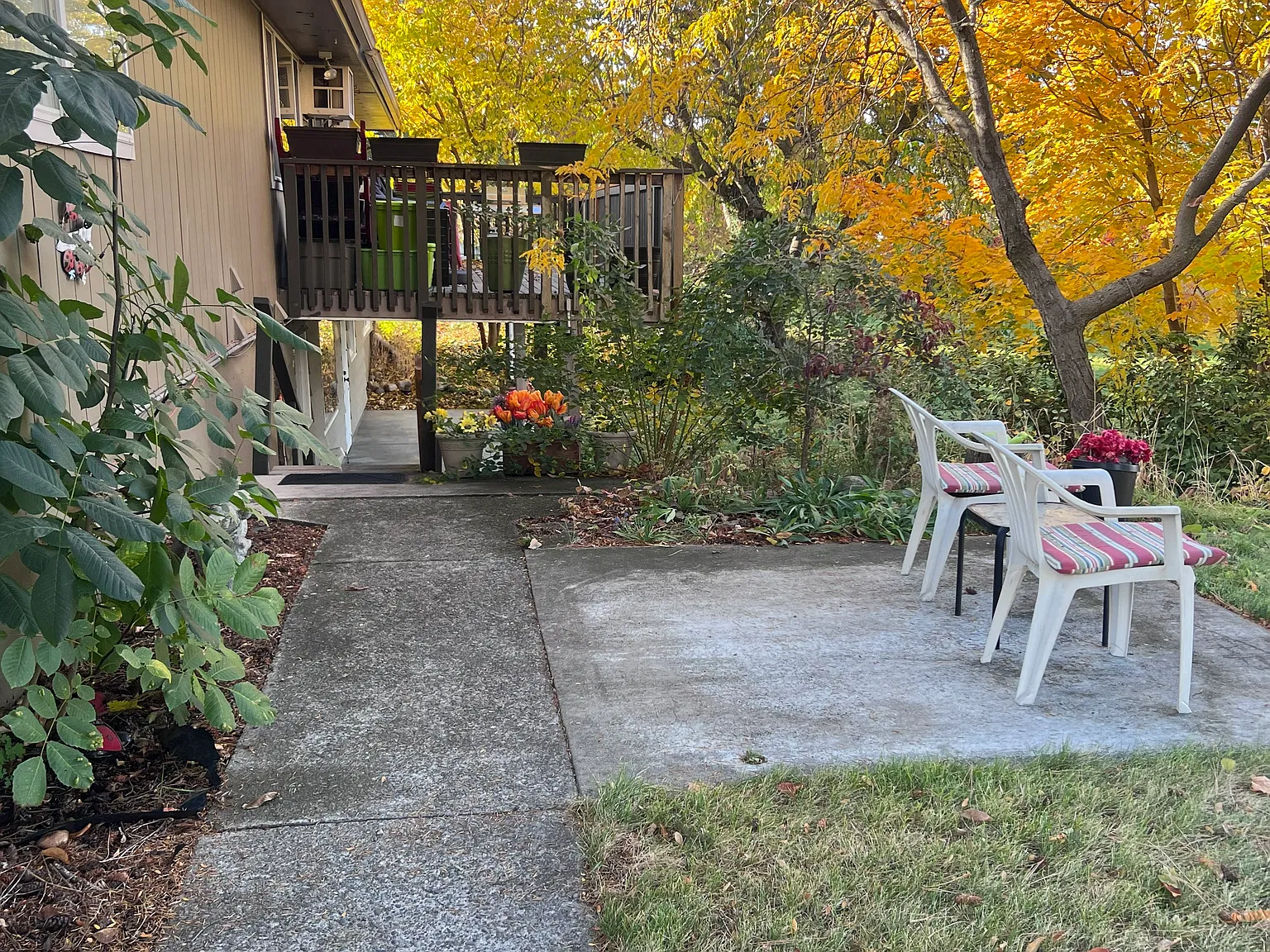 1 bed, 1100 sqft, $1,250 — Photo 4