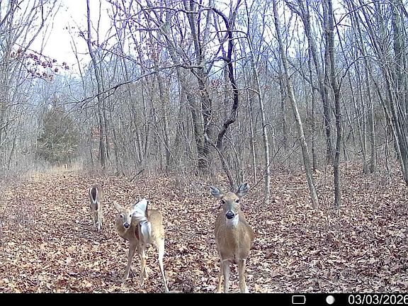 4th image of (Undisclosed Address)