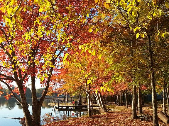 Falls are breathtaking at our house