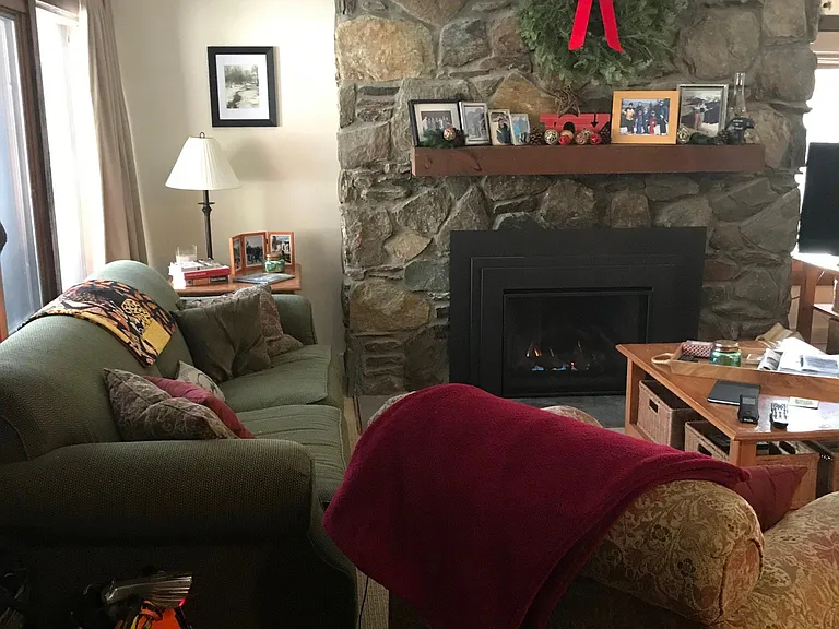 Living room with stone fireplace
