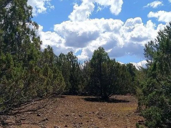 71 County Road 8148 1 N, Concho, AZ 85924