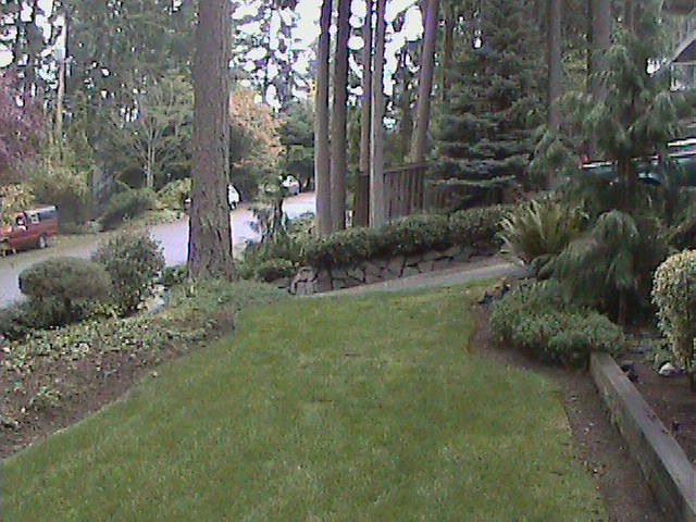 Front yard