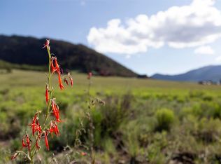 364 Diamond Rd, Creede, CO 81130