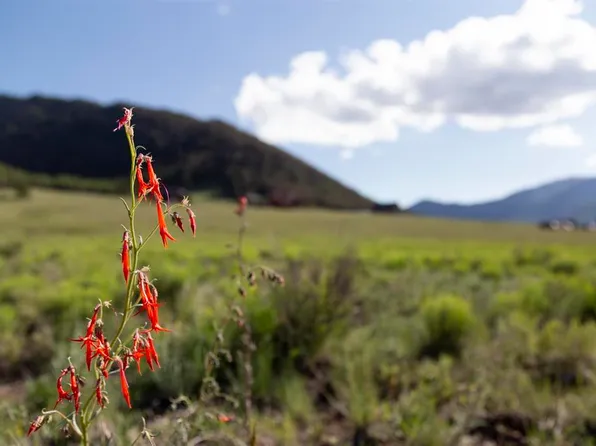 364 Diamond Road, Creede, CO 81130