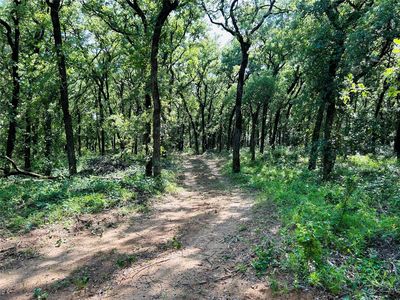 1212 Hcr, Whitney, TX, 76692