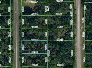 445 Fletcher Ave, Lake Placid, FL 33852