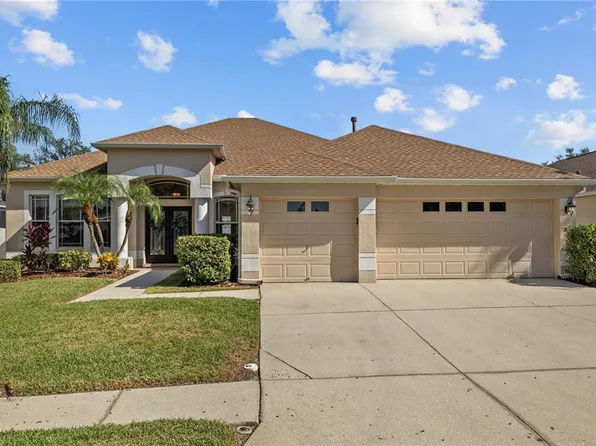18117 Pheasant Walk Dr, Tampa, FL 33647